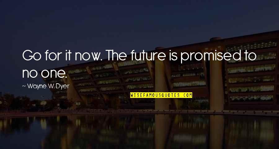 The Future Is Now Quotes By Wayne W. Dyer: Go for it now. The future is promised