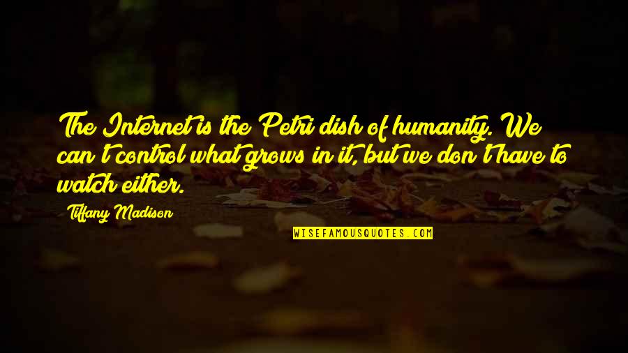 The Future Of Humanity Quotes By Tiffany Madison: The Internet is the Petri dish of humanity.