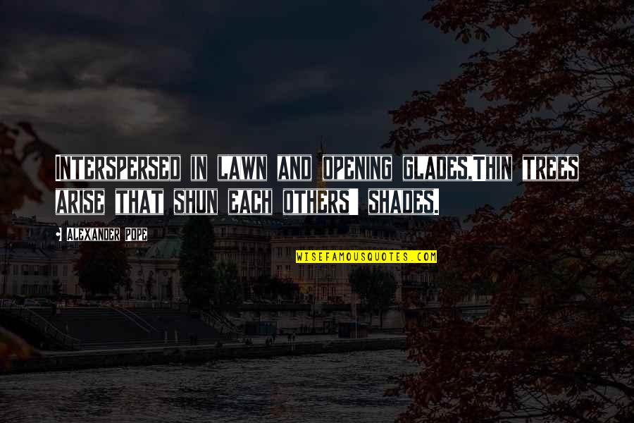 The Glades Quotes By Alexander Pope: Interspersed in lawn and opening glades,Thin trees arise