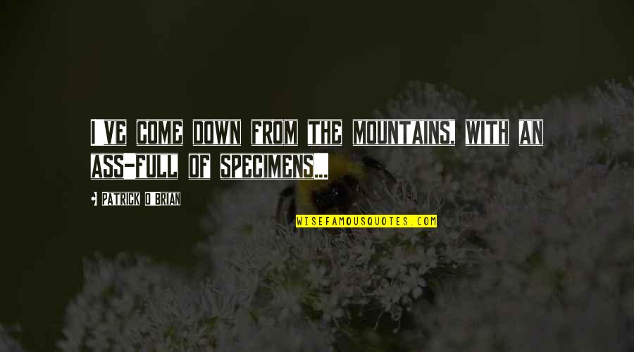 The Godfather Trilogy Quotes By Patrick O'Brian: I've come down from the mountains, with an The Godfather Trilogy Quotes By Patrick O'Brian: I've come down from the mountains, with an
