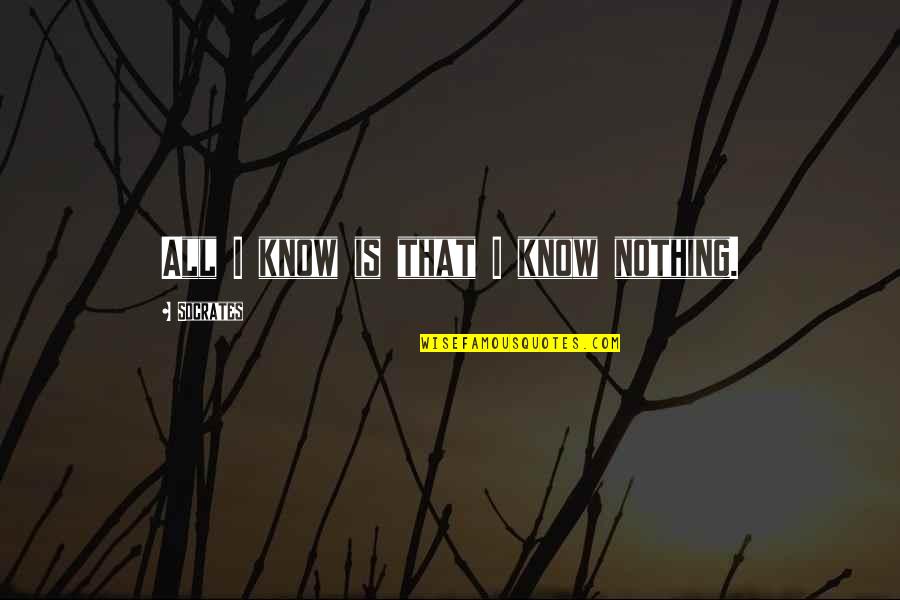 The Gods Lie Quotes By Socrates: All I know is that I know nothing. The Gods Lie Quotes By Socrates: All I know is that I know nothing.