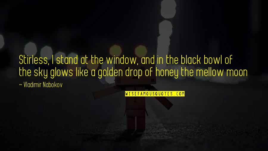 The Golden Bowl Quotes By Vladimir Nabokov: Stirless, I stand at the window, and in