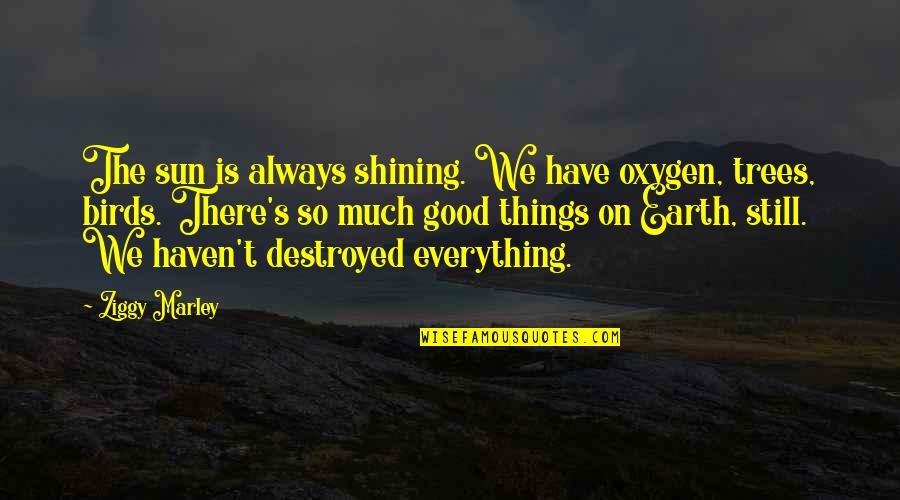 The Good Earth Quotes By Ziggy Marley: The sun is always shining. We have oxygen,