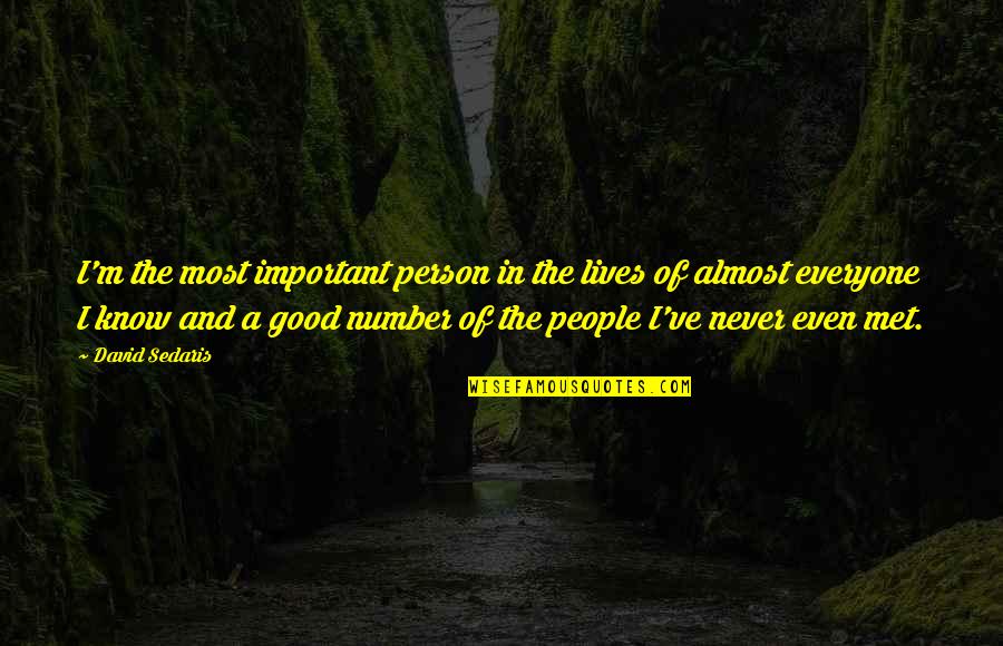 The Good Person Quotes By David Sedaris: I'm the most important person in the lives