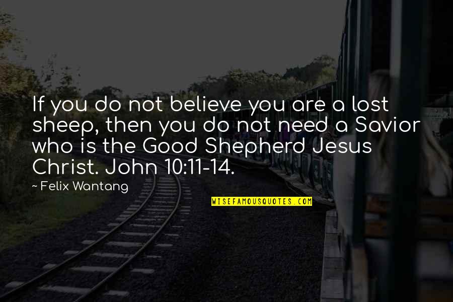 The Good Shepherd Quotes By Felix Wantang: If you do not believe you are a