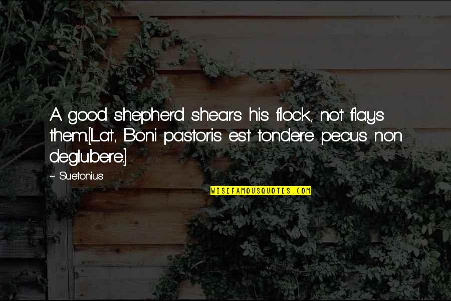 The Good Shepherd Quotes By Suetonius: A good shepherd shears his flock, not flays