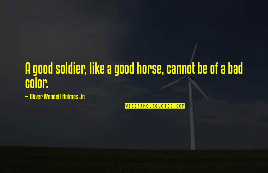 The Good Soldier Quotes By Oliver Wendell Holmes Jr.: A good soldier, like a good horse, cannot