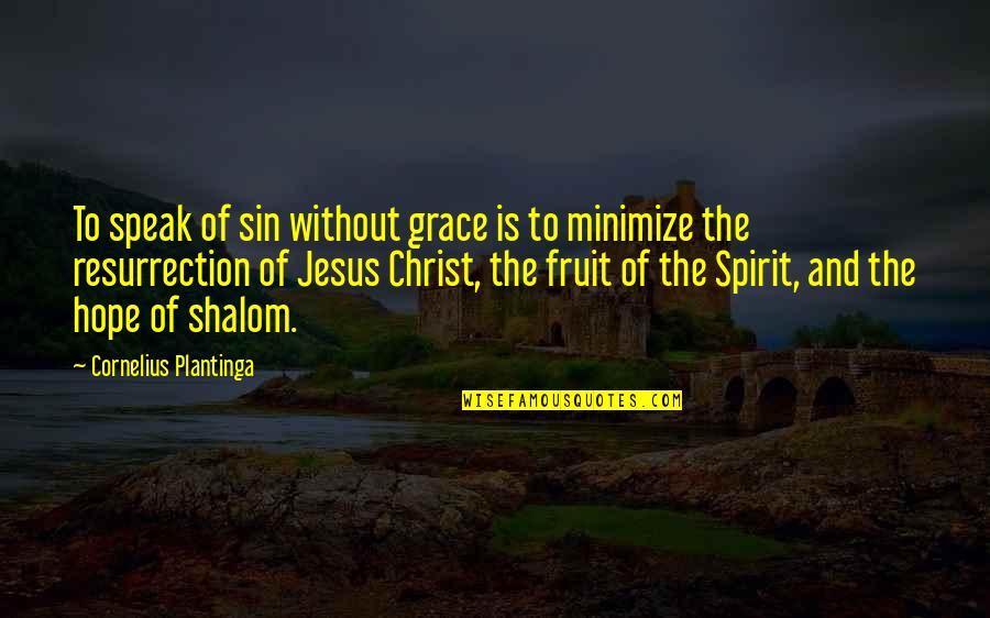 The Grace Of Jesus Quotes By Cornelius Plantinga: To speak of sin without grace is to