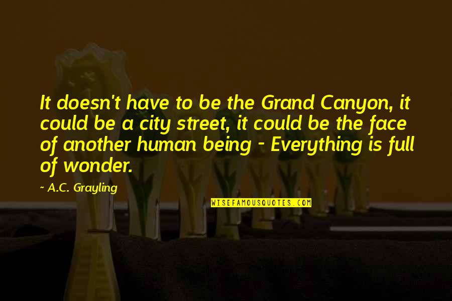 The Grand Canyon Quotes By A.C. Grayling: It doesn't have to be the Grand Canyon,