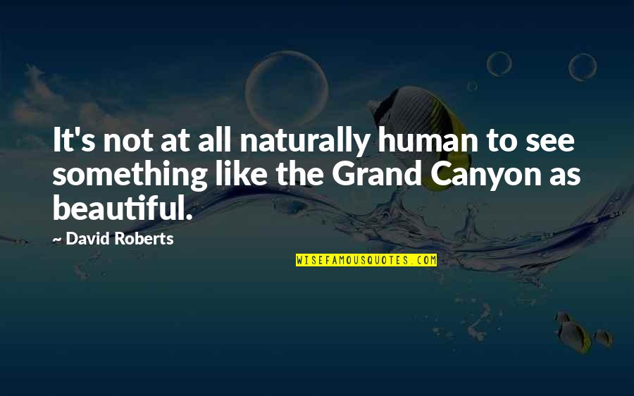 The Grand Canyon Quotes By David Roberts: It's not at all naturally human to see