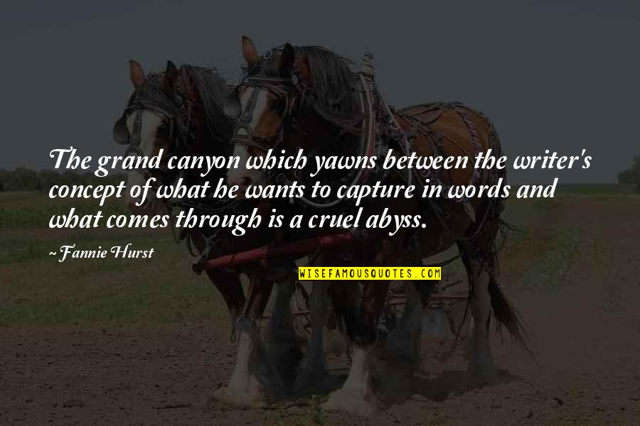 The Grand Canyon Quotes By Fannie Hurst: The grand canyon which yawns between the writer's