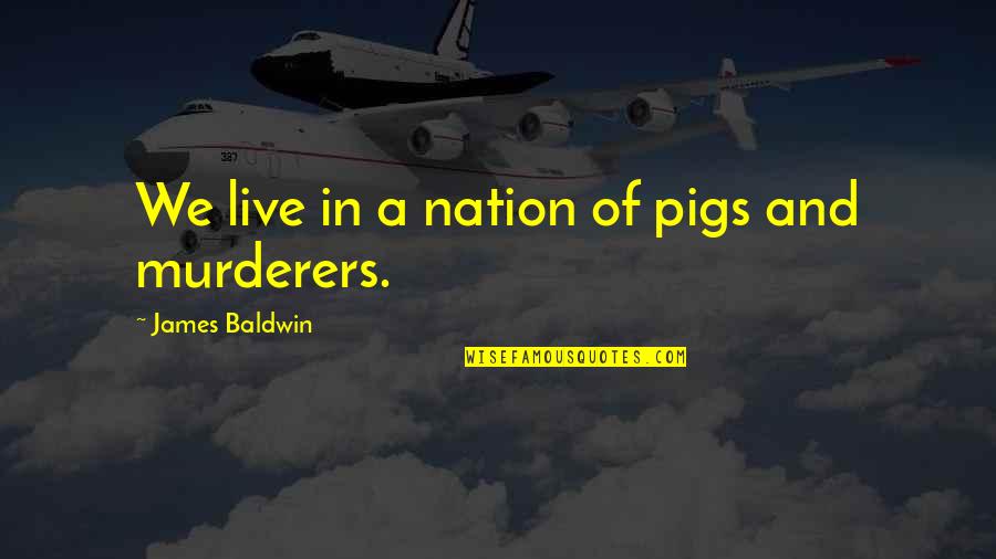 The Grand Design Quotes By James Baldwin: We live in a nation of pigs and