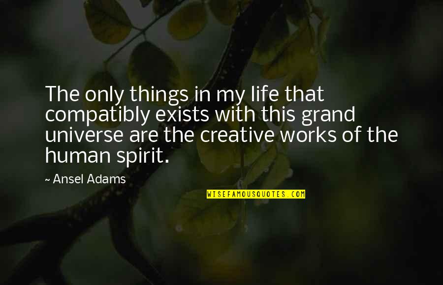The Grand Quotes By Ansel Adams: The only things in my life that compatibly