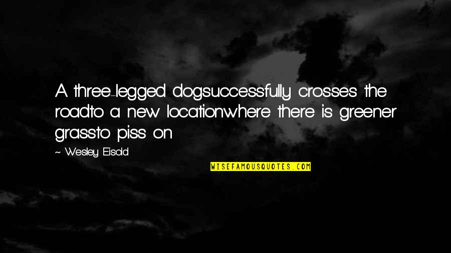 The Grass Greener Quotes By Wesley Eisold: A three-legged dogsuccessfully crosses the roadto a new