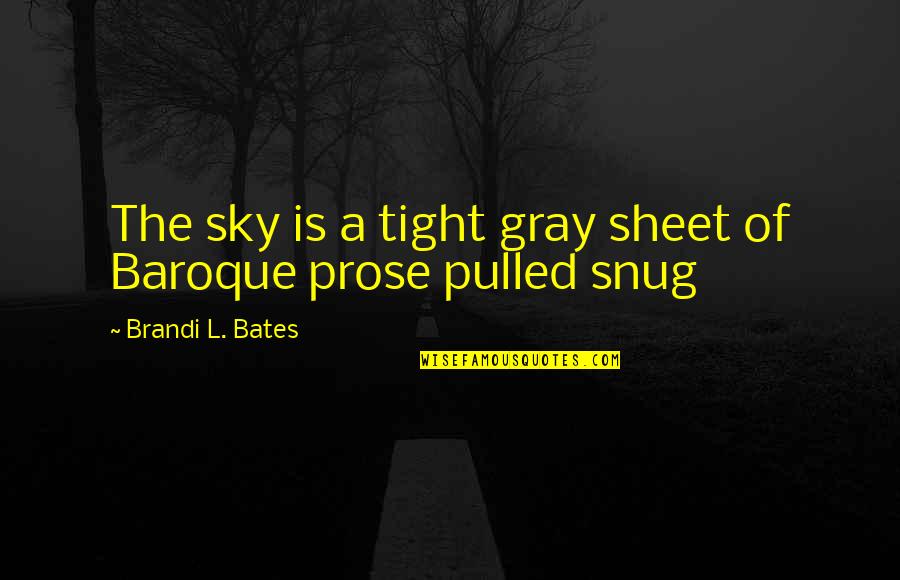 The Gray Sky Quotes By Brandi L. Bates: The sky is a tight gray sheet of