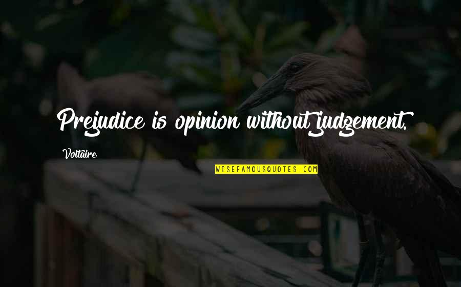 The Great Dictator 1940 Quotes By Voltaire: Prejudice is opinion without judgement. The Great Dictator 1940 Quotes By Voltaire: Prejudice is opinion without judgement.