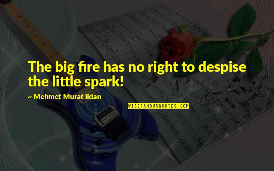 The Great Dictator Quotes By Mehmet Murat Ildan: The big fire has no right to despise