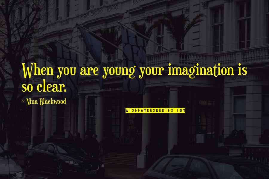 The Great Gatsby American Dream Corruption Quotes By Nina Blackwood: When you are young your imagination is so