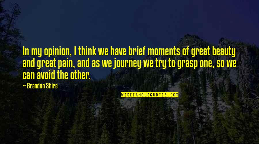 The Great Journey Quotes By Brandon Shire: In my opinion, I think we have brief