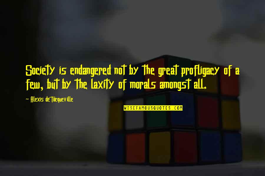 The Great Society Quotes By Alexis De Tocqueville: Society is endangered not by the great profligacy