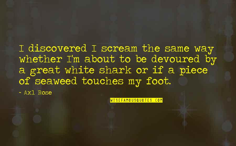 The Great White Shark Quotes By Axl Rose: I discovered I scream the same way whether