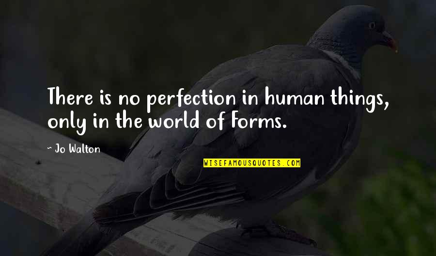 The Greatest Of All Is Love Bible Quotes By Jo Walton: There is no perfection in human things, only