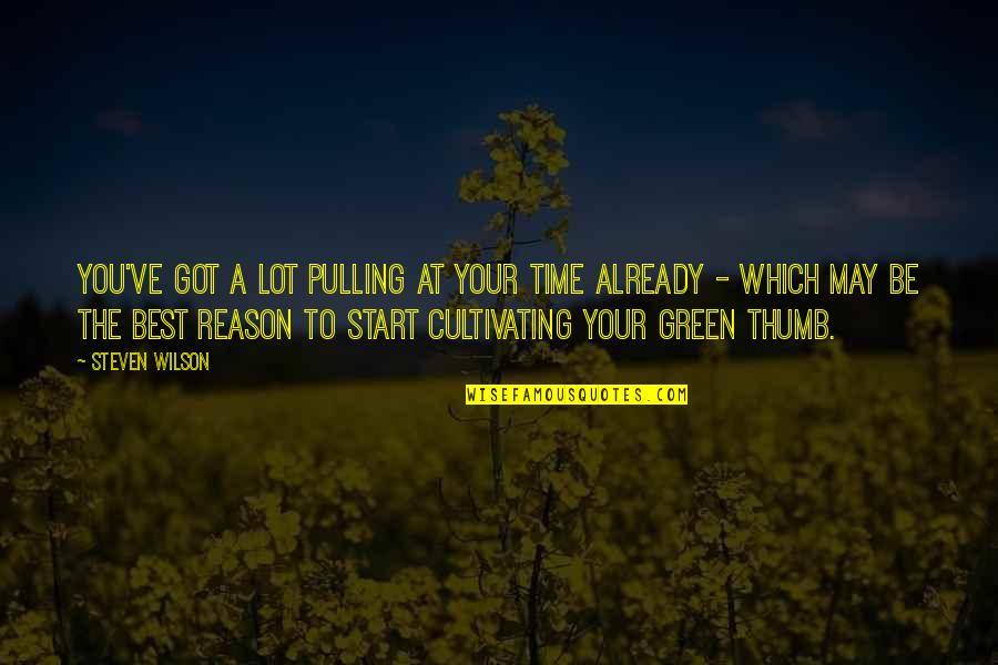 The Green Best Quotes By Steven Wilson: You've got a lot pulling at your time The Green Best Quotes By Steven Wilson: You've got a lot pulling at your time
