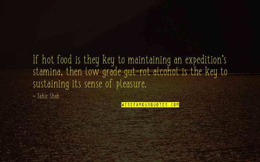 The Gut Quotes By Tahir Shah: If hot food is they key to maintaining The Gut Quotes By Tahir Shah: If hot food is they key to maintaining