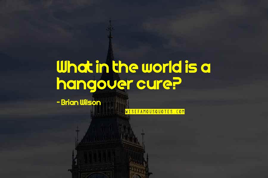 The Hangover Quotes By Brian Wilson: What in the world is a hangover cure?