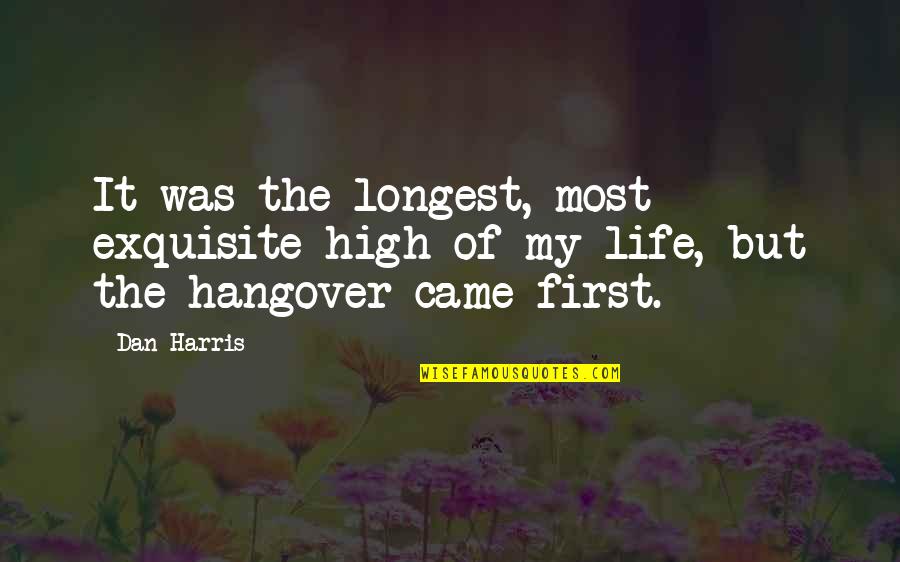 The Hangover Quotes By Dan Harris: It was the longest, most exquisite high of
