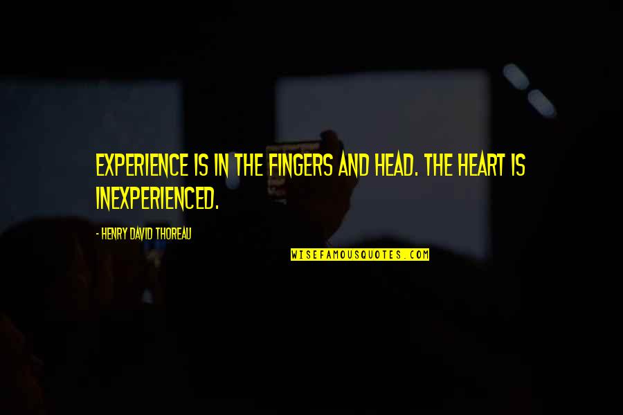 The Head And The Heart Quotes By Henry David Thoreau: Experience is in the fingers and head. The The Head And The Heart Quotes By Henry David Thoreau: Experience is in the fingers and head. The