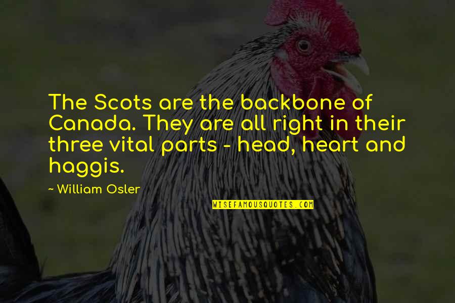 The Head And The Heart Quotes By William Osler: The Scots are the backbone of Canada. They The Head And The Heart Quotes By William Osler: The Scots are the backbone of Canada. They