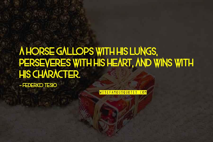 The Heart And Lungs Quotes By Federico Tesio: A horse gallops with his lungs, perseveres with The Heart And Lungs Quotes By Federico Tesio: A horse gallops with his lungs, perseveres with
