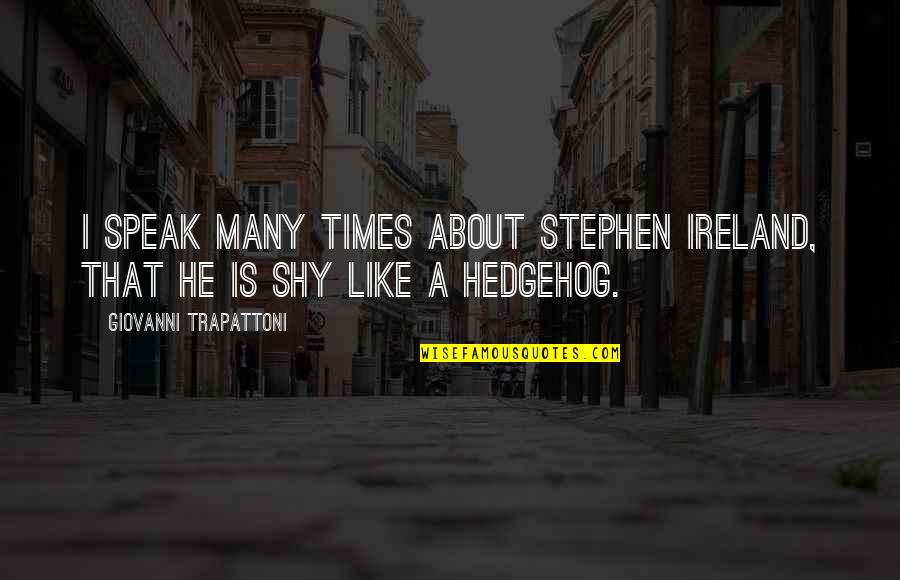 The Hedgehog Quotes By Giovanni Trapattoni: I speak many times about Stephen Ireland, that