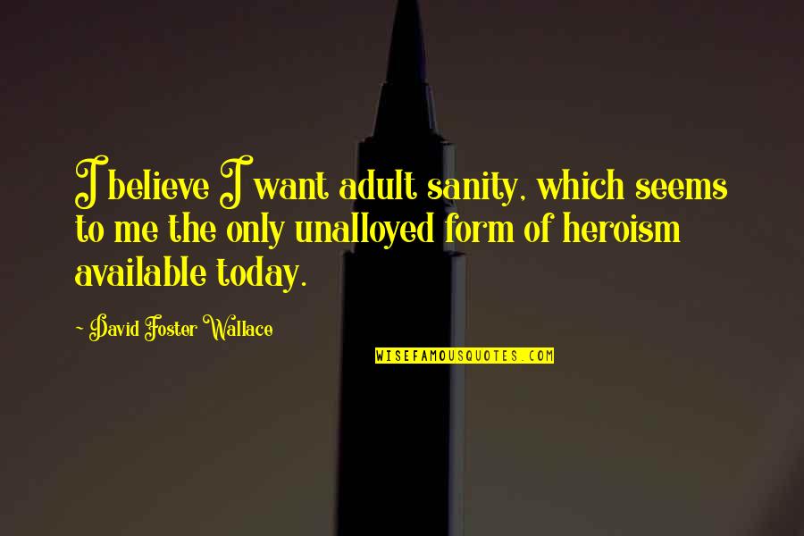 The Heroism Quotes By David Foster Wallace: I believe I want adult sanity, which seems