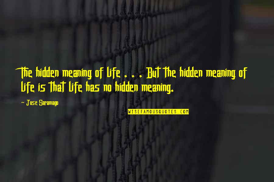 The Hidden Life Quotes By Jose Saramago: The hidden meaning of life . . .