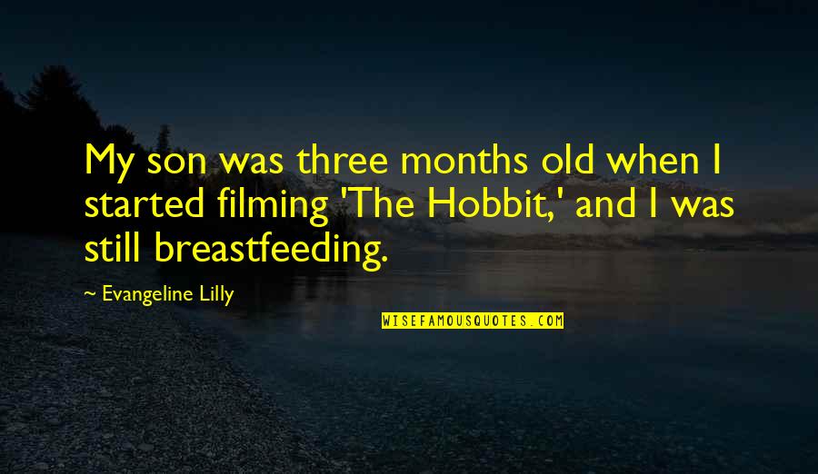The Hobbit Quotes By Evangeline Lilly: My son was three months old when I