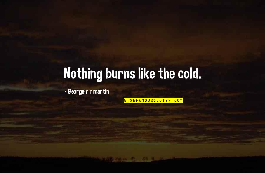 The Holidays And Love Quotes By George R R Martin: Nothing burns like the cold.