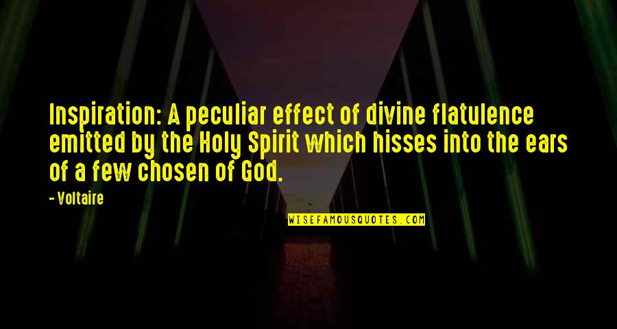 The Holy Spirit Of God Quotes By Voltaire: Inspiration: A peculiar effect of divine flatulence emitted