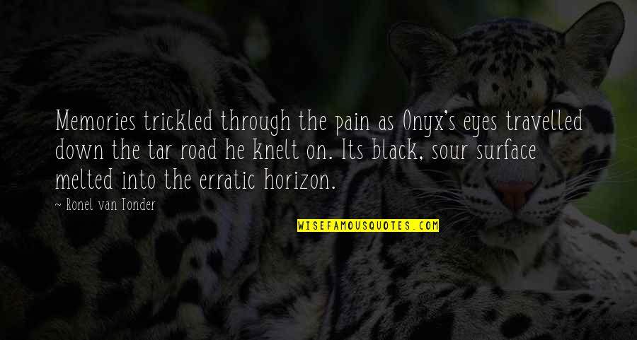The Horizon Their Eyes Quotes By Ronel Van Tonder: Memories trickled through the pain as Onyx's eyes