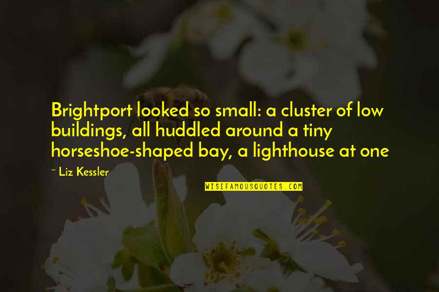 The Horseshoe Quotes By Liz Kessler: Brightport looked so small: a cluster of low The Horseshoe Quotes By Liz Kessler: Brightport looked so small: a cluster of low