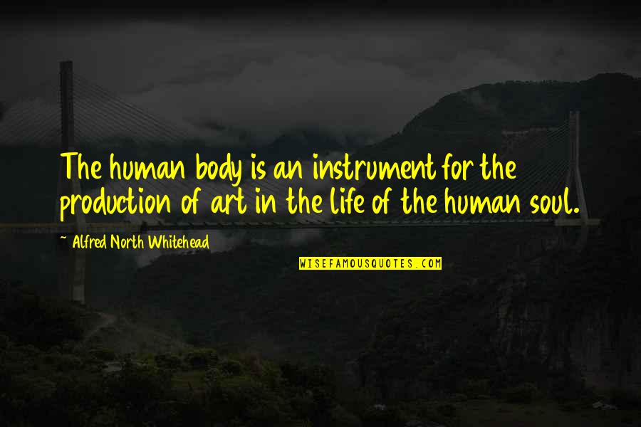 The Human Body And Art Quotes By Alfred North Whitehead: The human body is an instrument for the