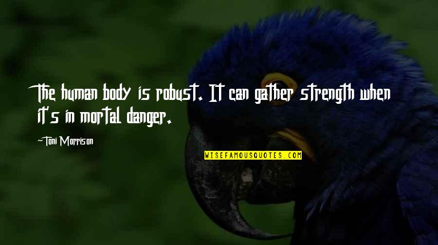 The Human Body Quotes By Toni Morrison: The human body is robust. It can gather