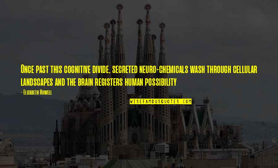 The Human Brain Quotes By Elizabeth Howell: Once past this cognitive divide, secreted neuro-chemicals wash The Human Brain Quotes By Elizabeth Howell: Once past this cognitive divide, secreted neuro-chemicals wash