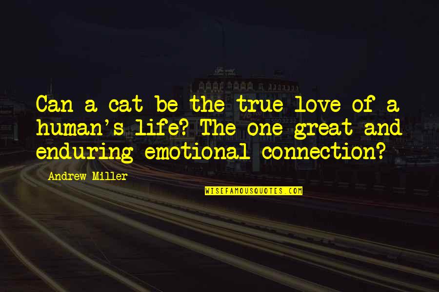 The Human Connection Quotes By Andrew Miller: Can a cat be the true love of