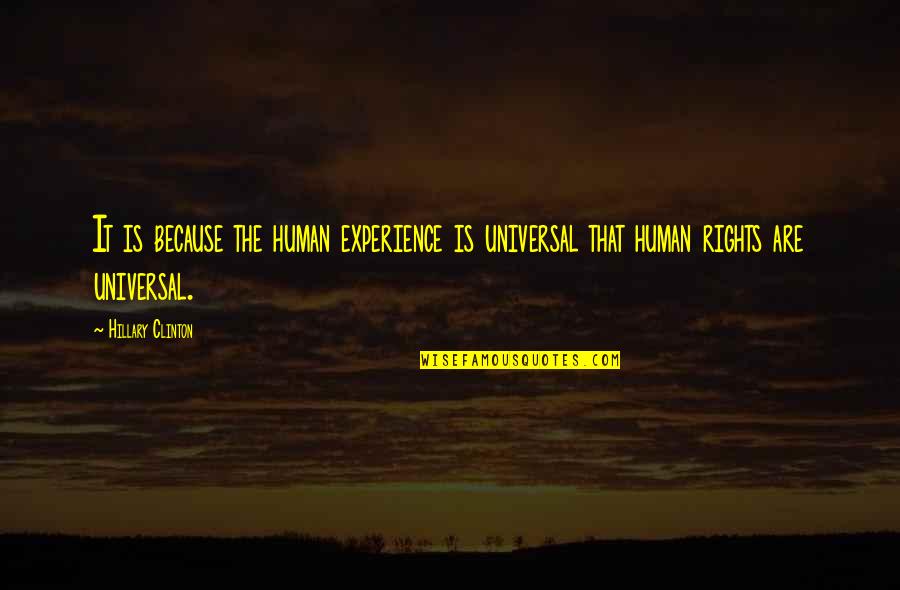 The Human Experience Quotes By Hillary Clinton: It is because the human experience is universal