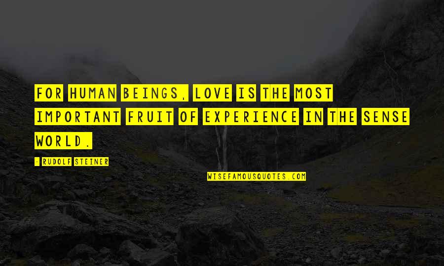 The Human Experience Quotes By Rudolf Steiner: For human beings, love is the most important