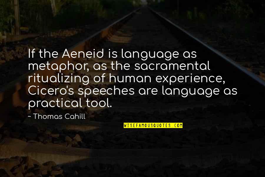 The Human Experience Quotes By Thomas Cahill: If the Aeneid is language as metaphor, as