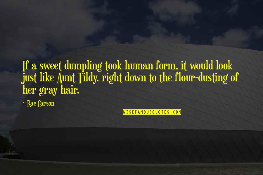 The Human Form Quotes By Rae Carson: If a sweet dumpling took human form, it