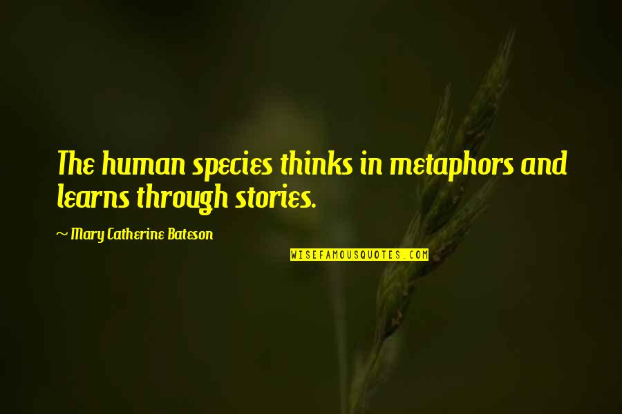The Human Species Quotes By Mary Catherine Bateson: The human species thinks in metaphors and learns